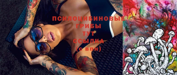 прущие грибы Алексеевка