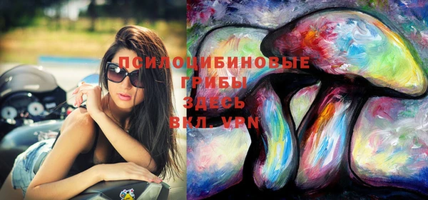 прущие грибы Алексеевка