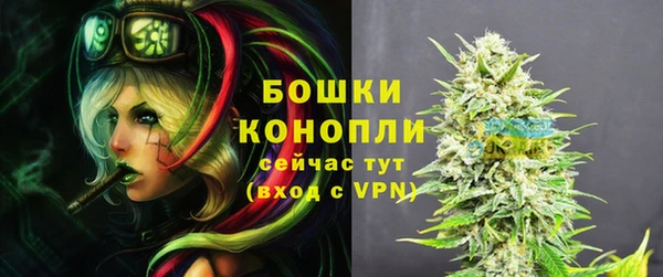 гидра Надым