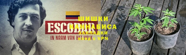 индика Наволоки