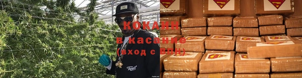 гидра Надым