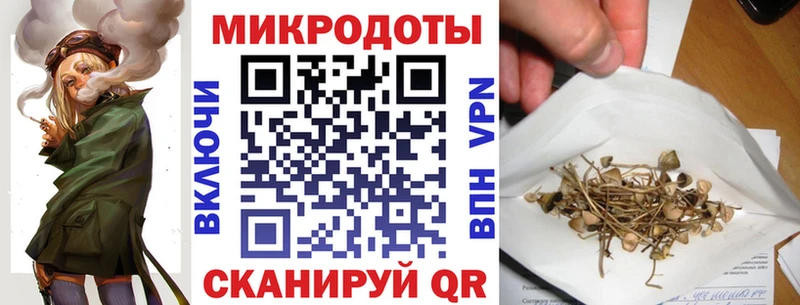 Псилоцибиновые грибы Cubensis где купить Медынь